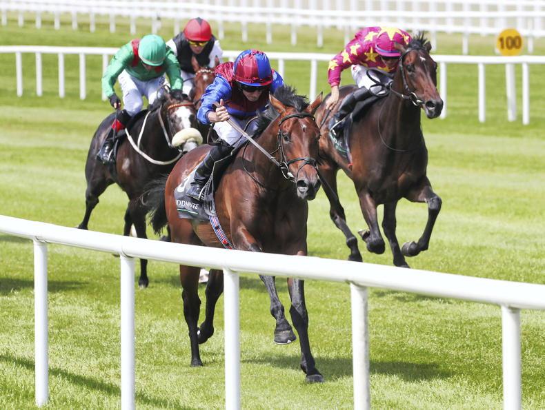 CURRAGH SATURDAY: Hans Andersen looks the answer to Futurity - Vimarsana News