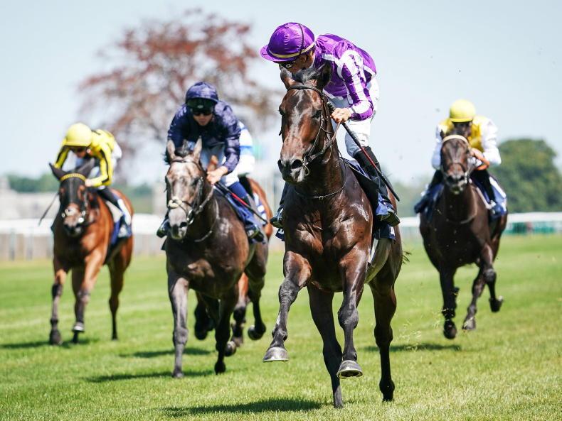 FRANCE: Blackbeard can lead home first two for Ballydoyle - Vimarsana News