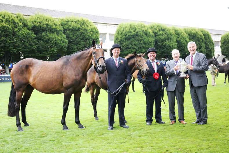 DUBLIN HORSE SHOW 2022: Parkmore Evita bows out on a winning note - Vimarsana News
