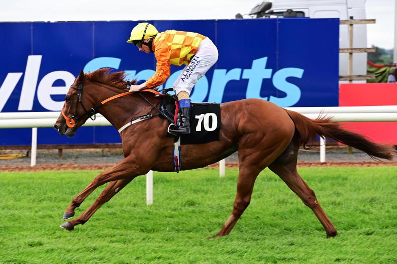 BREEDING INSIGHTS: Treasure Trove delivers for Bennett - Vimarsana News