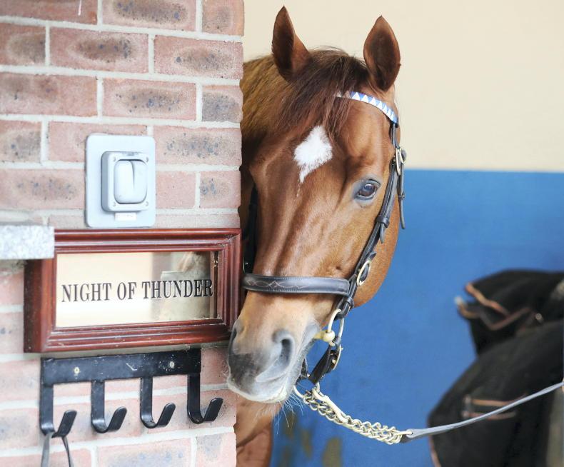PARROT MOUTH: All roads lead to the Curragh - Vimarsana News