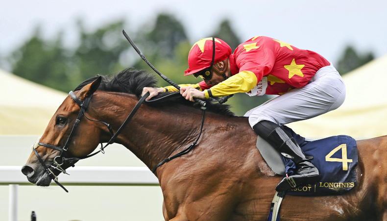 State Of Rest retired to Rathbarry Stud - Vimarsana News