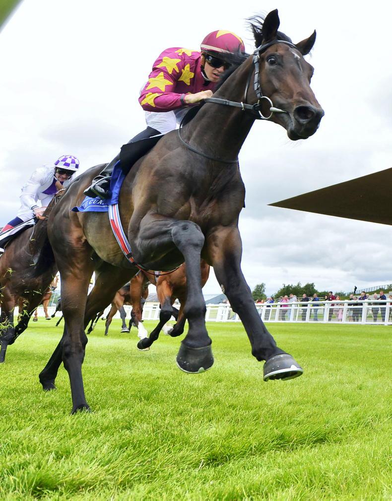 Joseph O'Brien tempted to bid for Group 1 glory with Al Riffa - Vimarsana News