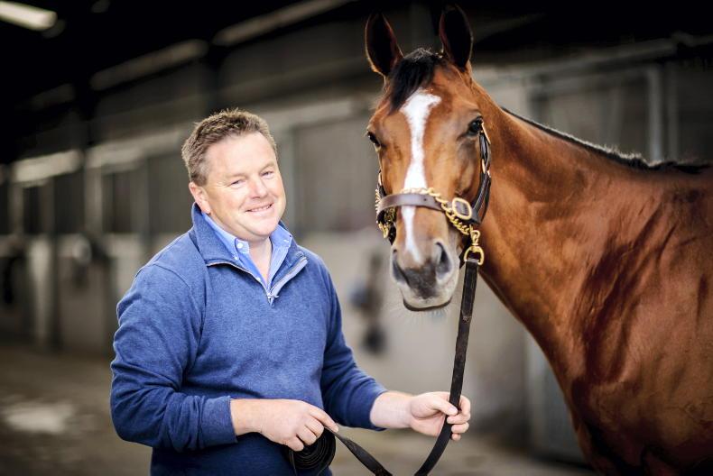 Paddy Twomey: 'La Petite Coco can be competitive in Irish Champion Stakes' - Vimarsana News