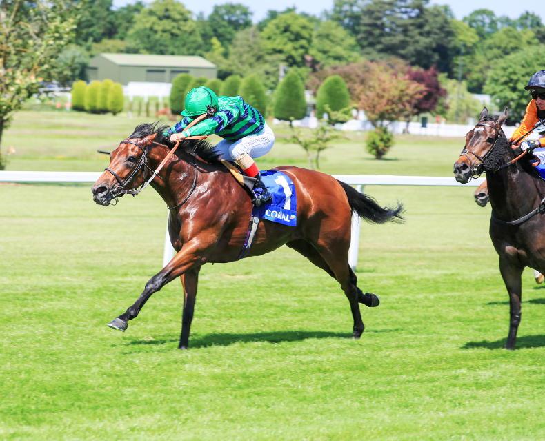 RORY DELARGY: Follow the evidence and back this 16/1 shot at Ascot - Vimarsana News
