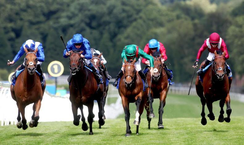 IRISH CHAMPION STAKES: Who will win the big race at Leopardstown? - Vimarsana News