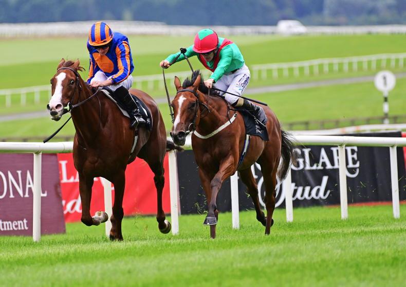 CURRAGH SUNDAY: Coco can make it back-to-back wins in the Blandford - Vimarsana News