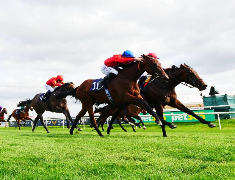 BRITISH PREVIEW: 14/1 shot has St Leger claims - Vimarsana News