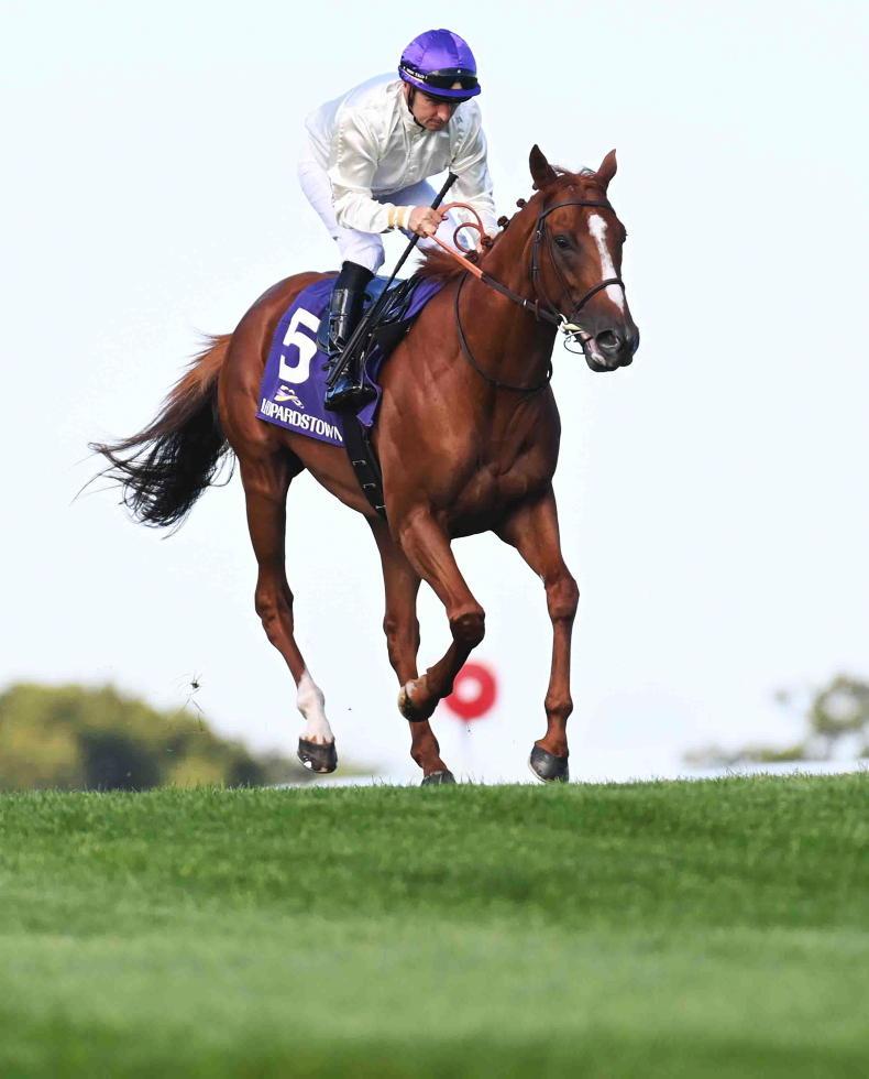 Arc or Champion Stakes decision for Onesto? - Vimarsana News