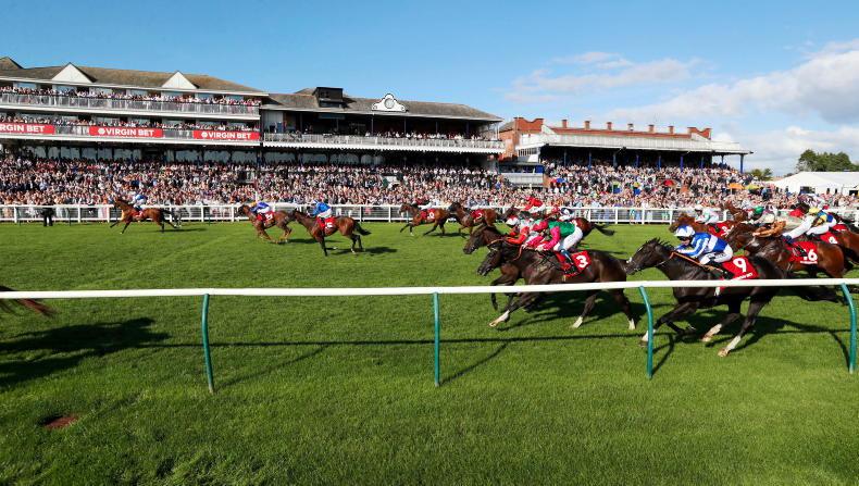 DONN MCCLEAN: Lots of reasons to support this 20/1 shot in Ayr Gold Cup - Vimarsana News