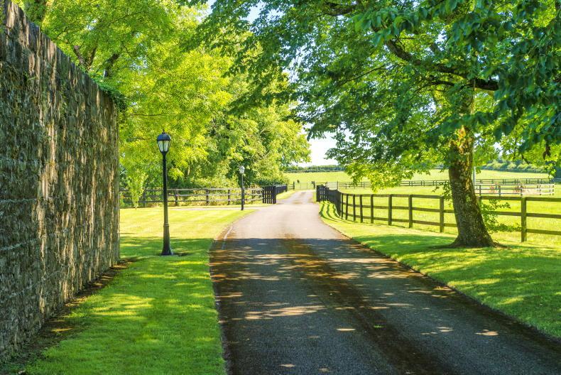 EXCLUSIVE One of Ireland’s finest stud farms for sale 16 September