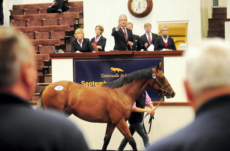 SALES: Average and median prices move forward at Fairyhouse - Vimarsana News