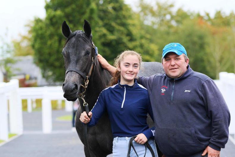 SALES: Hunter's Light half-sister steals the show - Vimarsana News