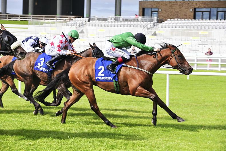 CURRAGH SATURDAY: Back Johnson for another Strong show at the Curragh - Vimarsana News