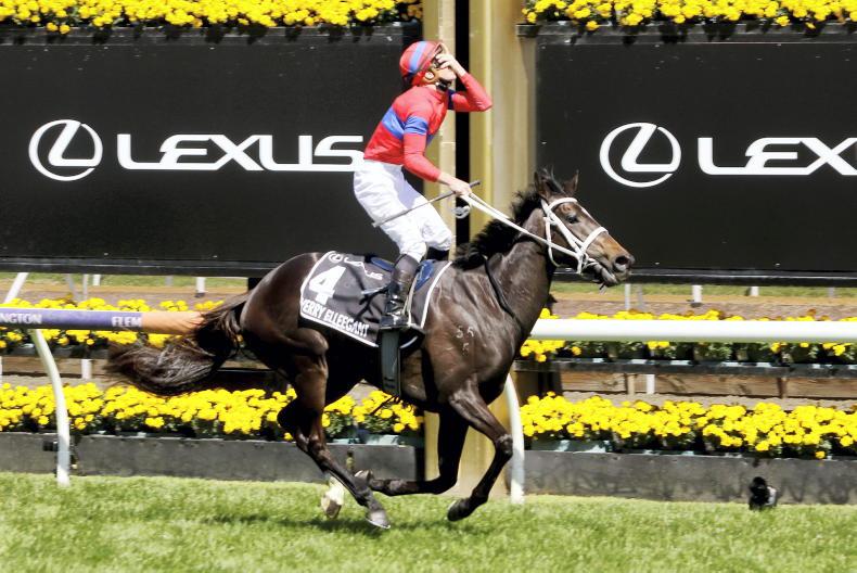 No Arc bid for Verry Elleegant - Vimarsana News