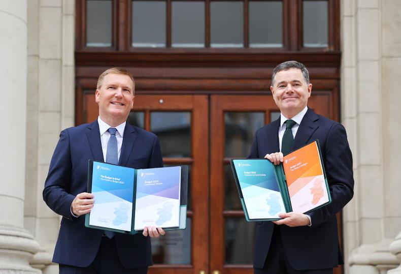 NEWS: Extra €2.4 million for HRI next year - Vimarsana News