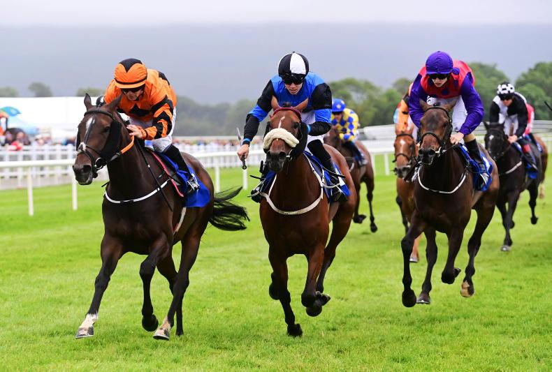 KILLARNEY SATURDAY: Take a Gamble on Molly to improve for step up in trip - Vimarsana News