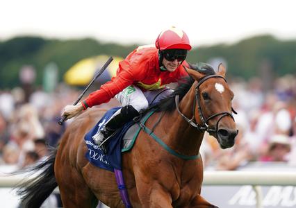 Highfield Princess on course for Golden Pal showdown - Vimarsana News