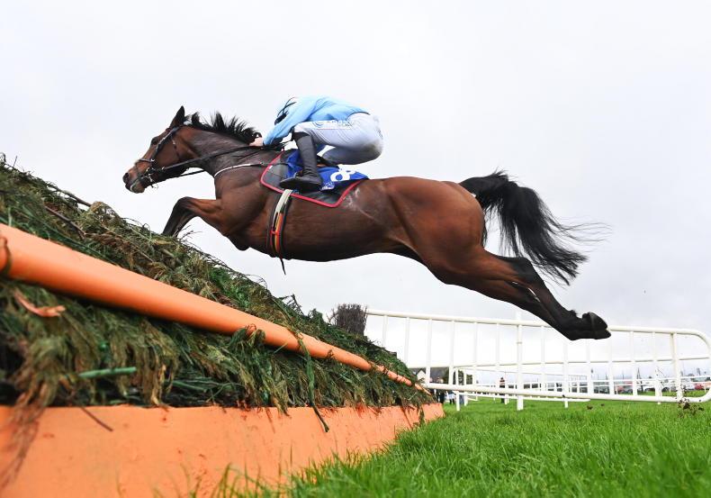 TEN TO FOLLOW: Horses to note next time - Vimarsana News