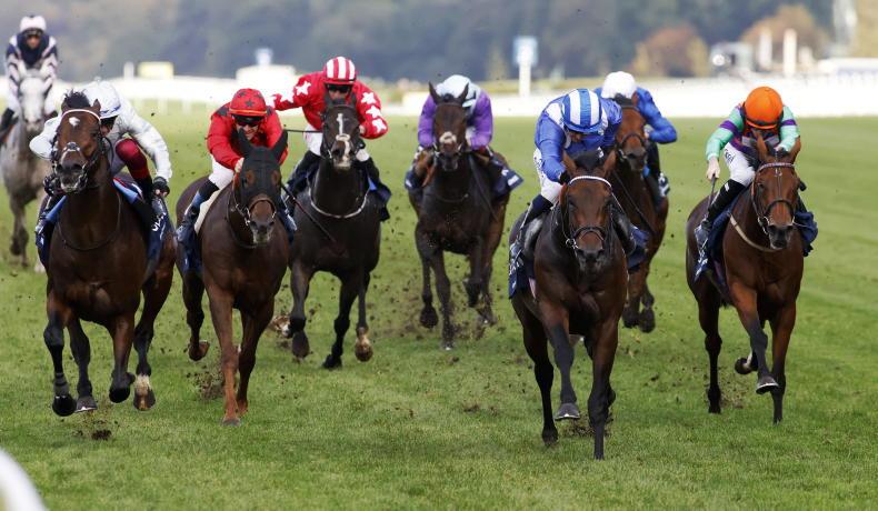 BRITISH PREVIEW: This progressive 14/1 filly is worth a wager - Vimarsana News
