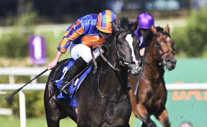 RACING CENTRAL: Auguste out to prove his star quality - Vimarsana News