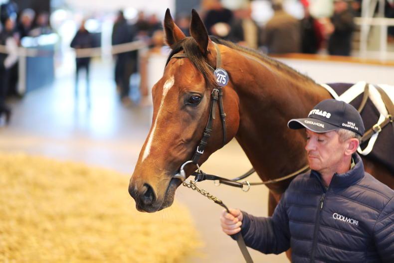SALES: Waterville sold for 410,000gns - Vimarsana News