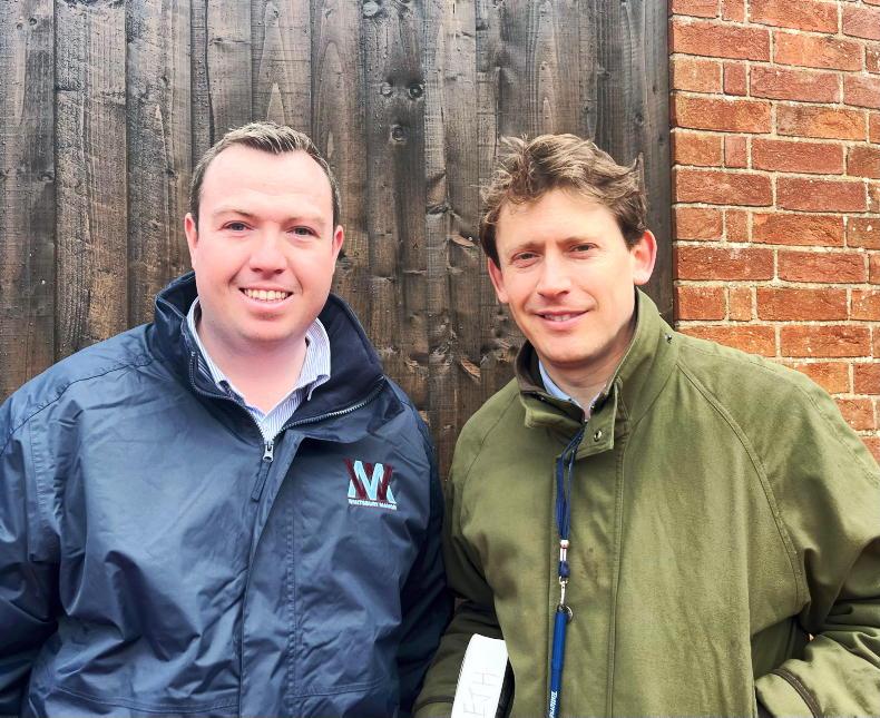 Whitsbury Manor Stud appoint Joe Callan as head of bloodstock and sales - Vimarsana News