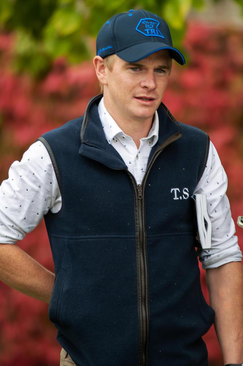 THE BIG INTERVIEW: Shane and Alex Power (Tradewinds Stud) - Vimarsana News