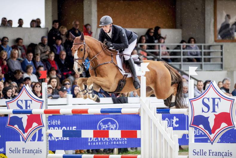 NEWS: Medals just elude Irish riders at Le Lion - Vimarsana News