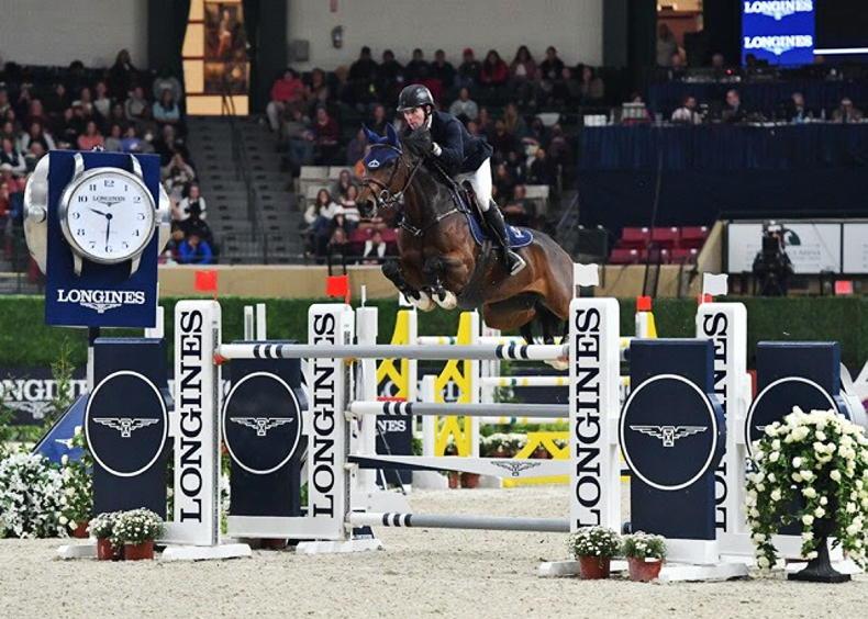 SHOW JUMPING: Another World Cup win for Swail - Vimarsana News