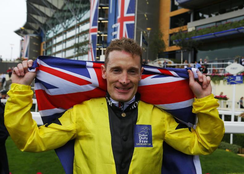 NEWS: Perfect Gold Trip strikes Melbourne Cup for Zahra - Vimarsana News