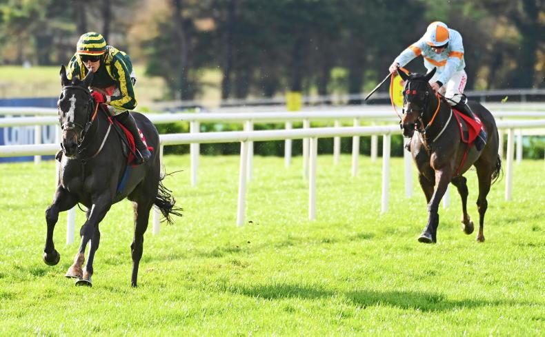 GALWAY SATURDAY: Path leads to Royal Bond after smart start - Vimarsana News