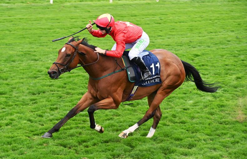 John Quin - 'Golden Pal is good but so is she' - Vimarsana News
