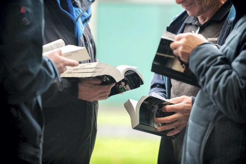 SALES: Quiet day for NH yearlings at Fairyhouse - Vimarsana News