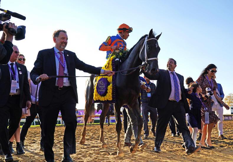 BREEDING INSIGHTS: Forte and Wonder Wheel, champions-elect - Vimarsana News
