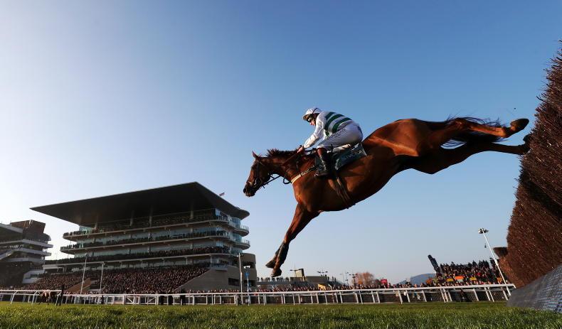 DONN MCCLEAN: Sheer potential makes this horse clear pick in Paddy Power - Vimarsana News