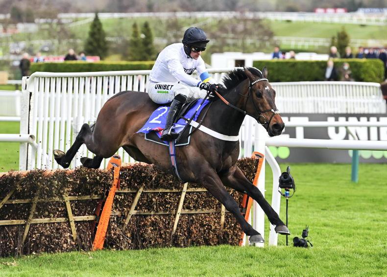 Three Cheltenham Grade 1 winners run at Ascot - Vimarsana News