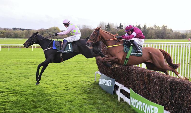 PUNCHESTOWN SUNDAY: Back Meade's Boy to step up in Florida Pearl 20 November 2022 Free - Vimarsana News