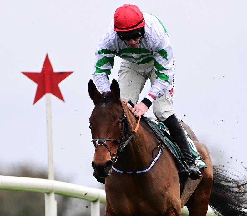 BREEDING INSIGHTS: Brook's first step to graded success 25 November 2022 Free - Vimarsana News