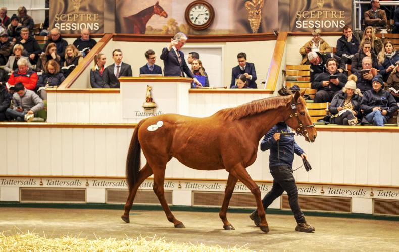 SALES: 'Crystal' mares sparkle at Tattersalls - Vimarsana News