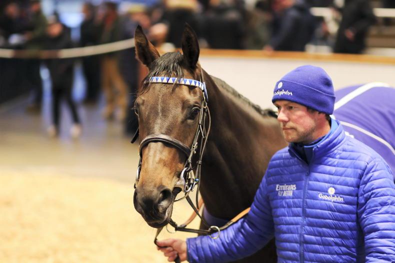 SALES: Breeders buy back fillies from Godolphin - Vimarsana News
