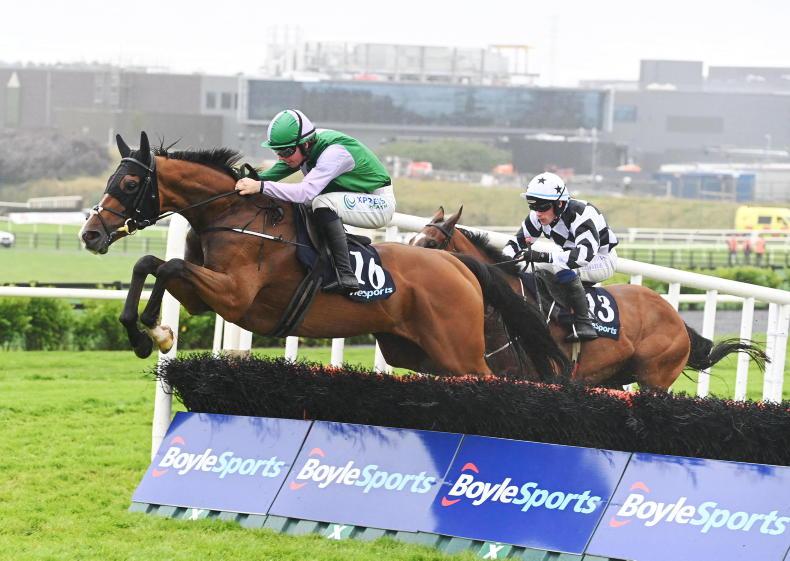 FAIRYHOUSE SUNDAY: Emmet's Giant can stand tallest 03 December 2022 Free - Vimarsana News