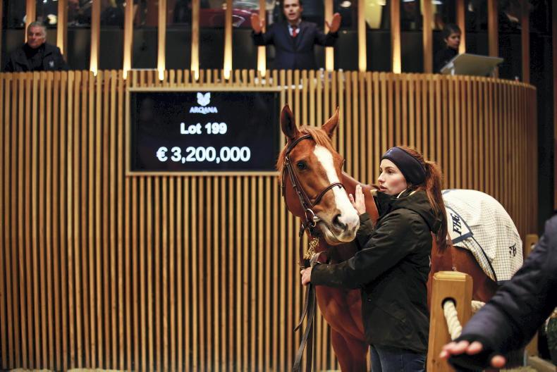 SALES: Moyglare Stud buys Malavath for €3.2 million - Vimarsana News