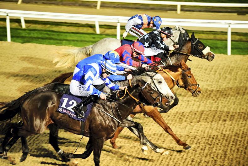DUNDALK FRIDAY: Stone-Walsh off the mark with first success - Vimarsana News