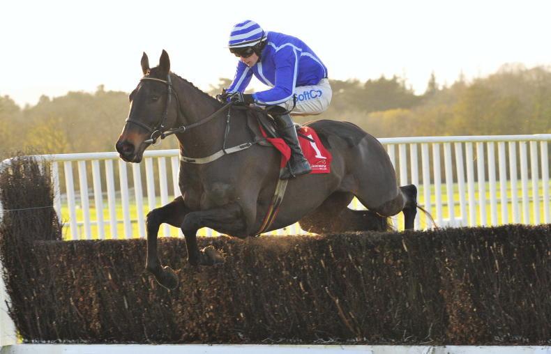 CORK SUNDAY: Energumene can build on his champion status - Vimarsana News
