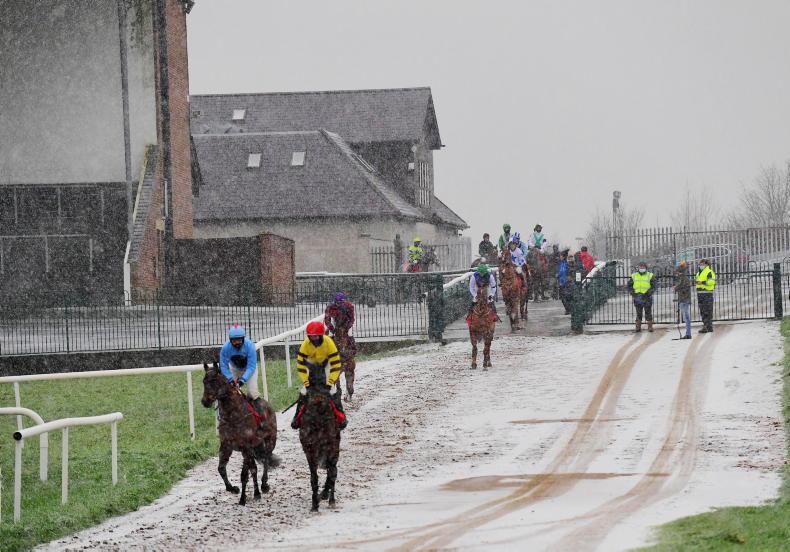 NEWS: Cork Sunday survives inspection - Vimarsana News