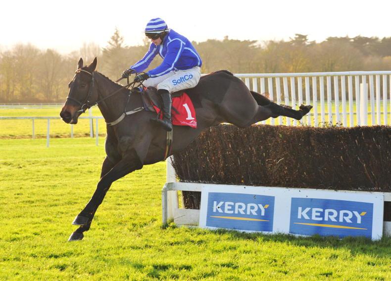 RACING CENTRAL: Energumene could be the highlight of a frosty weekend - Vimarsana News