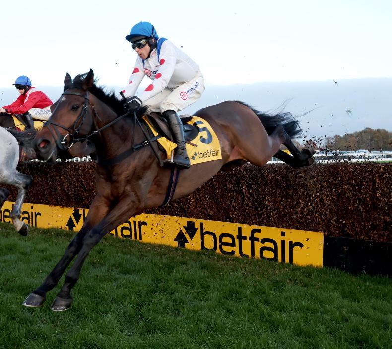 ANDY BATE: Protektorat the standout but Yeats the dark horse - Vimarsana News