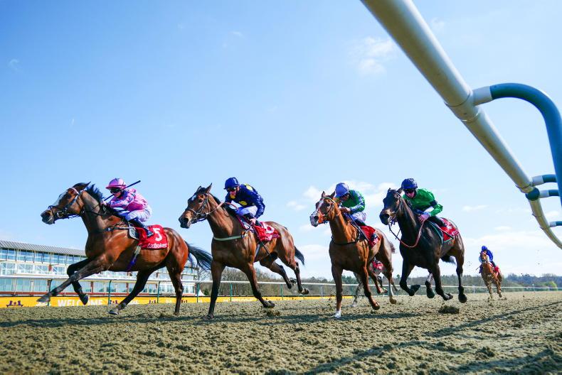 BRITISH PREVIEW: Looking for the Lingfield leaders - Vimarsana News