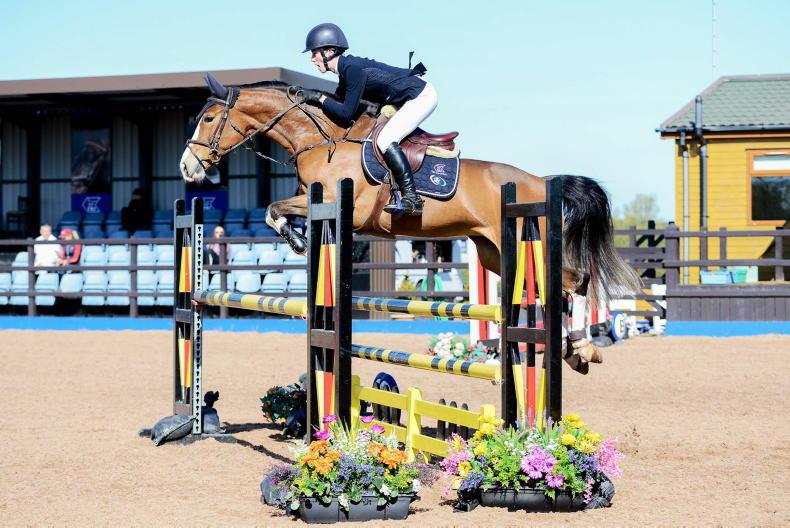 Ballypatrick Auctions: 'Performance horses selected by the best' 20 December 2022 Free - Vimarsana News
